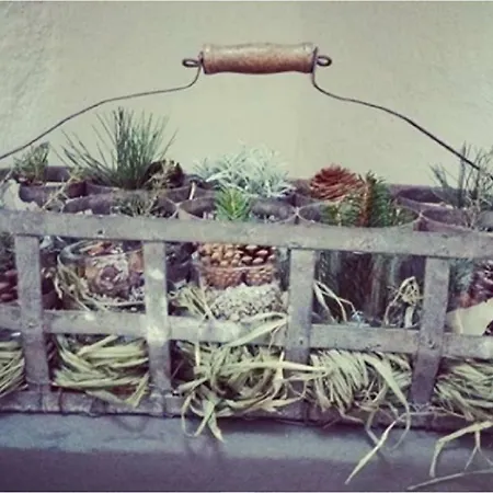 公寓 Le Quinte Del Duomo 科莫